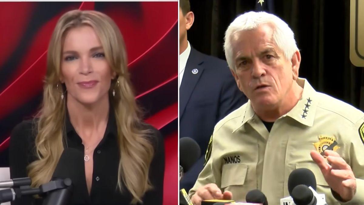 Megyn Kelly Slams Sheriff’s Warning to Media Amid Nancy Guthrie Mystery: "It’s What We Get Paid to Do"