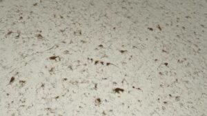 Scientists Predict Mysterious 'Blood Rain' Set to Drench Britain – What Lies Behind This Ominous Warning?