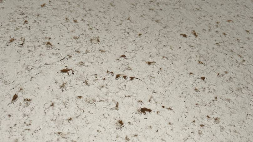 Scientists Predict Mysterious 'Blood Rain' Set to Drench Britain – What Lies Behind This Ominous Warning?