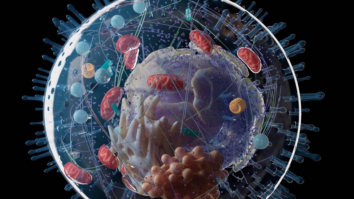 Scientists Uncover Shocking Clues That Could Rewrite the Story of Life’s Birth on Earth