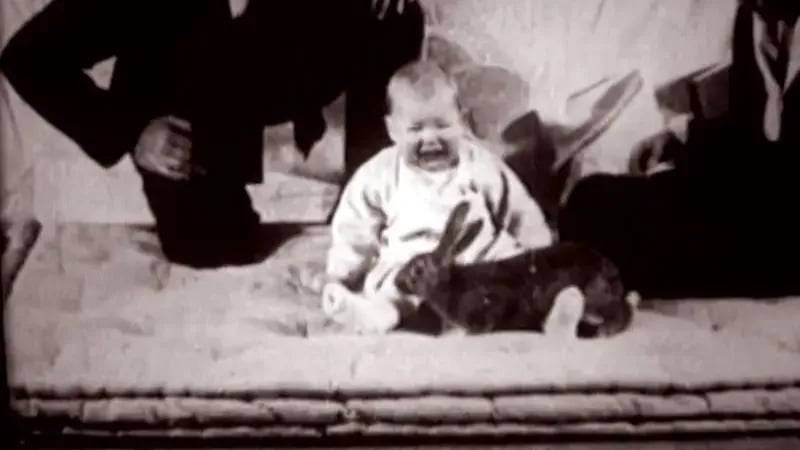 Shocking Revelations Emerge One Month After Infamous Unethical Human Experiment—The True Impact Will Haunt You