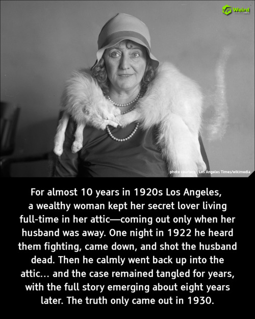 The Hidden Life: How a 1920s L.A. Socialite Concealed Her Secret Lover Inside Her Own Mansion for Nearly a Decade