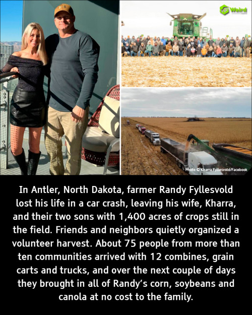 Unbelievable Weird Facts That Will Blow Your Mind and Change the Way You See the World