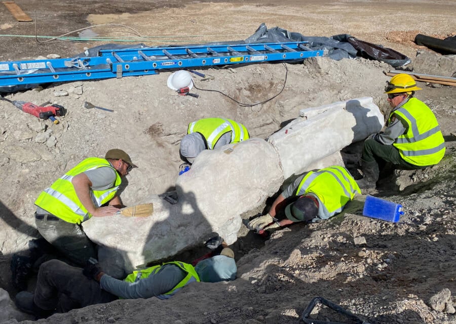 Unexpected Dinosaur Discovery Beneath Utah National Monument Parking Lot Sparks Scientific Frenzy