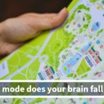 Unlock the Hidden Truth: Does Your Brain Favor Logic or Emotion? Take This Test to Discover!