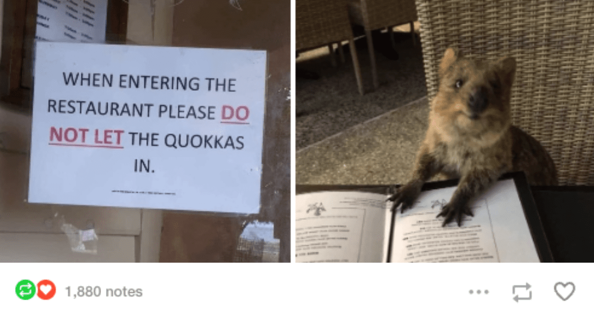 Unlock the Secret Tumblr Posts That Will Instantly Transform Your Morning Mood!