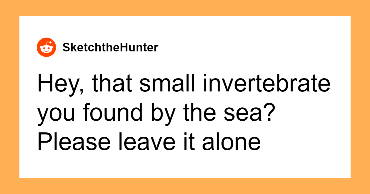 41 Everyday Items Hiding Shocking Dangers You’ve Never Suspected