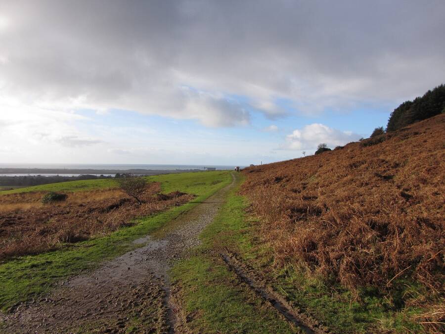 Hidden for Centuries: Astonishing Ancient Roman Villa Unearthed Beneath Welsh Park