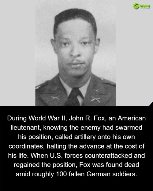 The Untold Heroism of Lt. John R. Fox: How One Man’s Sacrifice Changed the Course of a Deadly WWII Battle