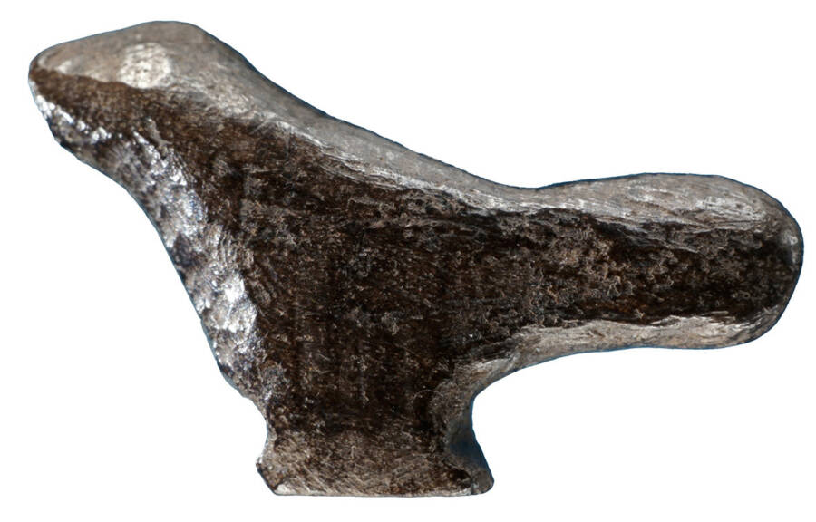 Unveiled: The 13,500-Year-Old Bird Figurine That Rewrites East Asia’s Ancient Art History