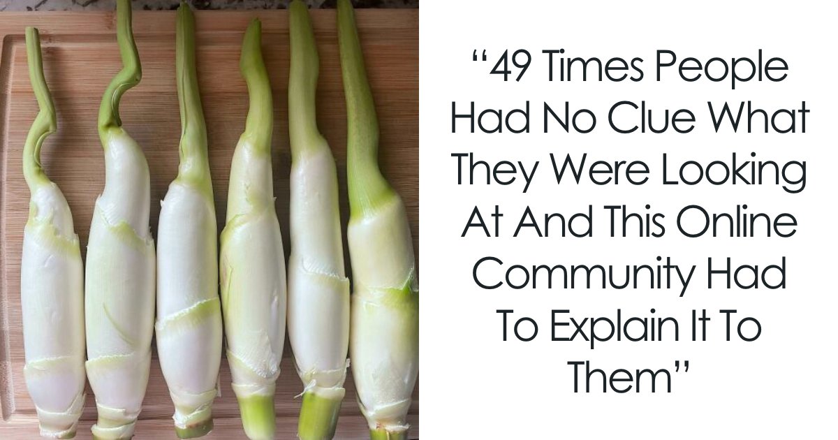 49 Bizarre Objects Finally Decoded by the Internet—Can You Identify Them All?