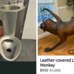 65 Marketplace Listings So Bizarre, You'll Question Reality—And Need a Hotline Just to Process Them