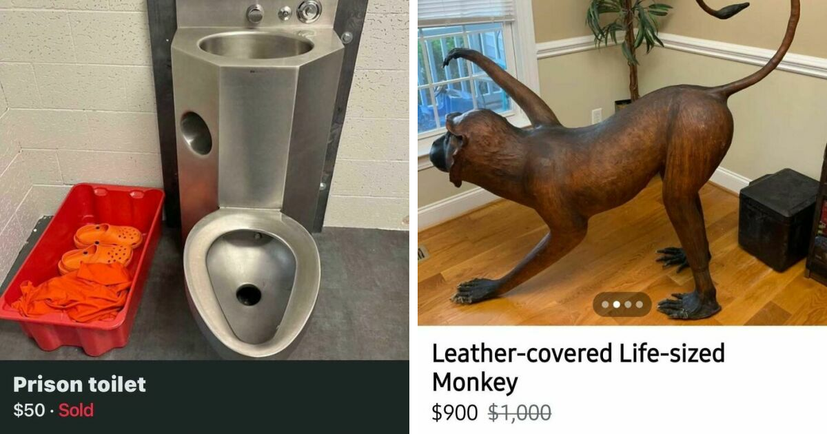 65 Marketplace Listings So Bizarre, You'll Question Reality—And Need a Hotline Just to Process Them