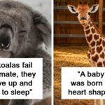 79 Mind-Blowing Facts That Will Forever Alter Your Perception of Reality