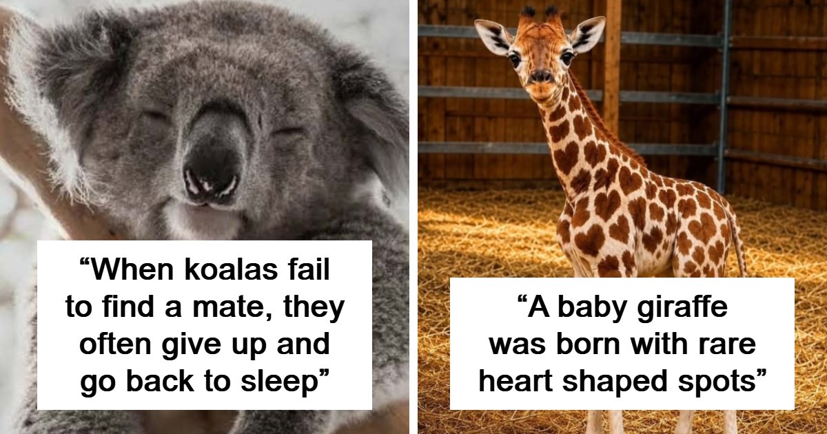 79 Mind-Blowing Facts That Will Forever Alter Your Perception of Reality