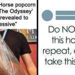 87 Unexpectedly Heartwarming Social Media Moments That Will Restore Your Faith in Humanity