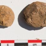 Ancient Inca Potato Treats Unearthed in Peru—Could This Be the World’s First Freeze-Dried Snack?