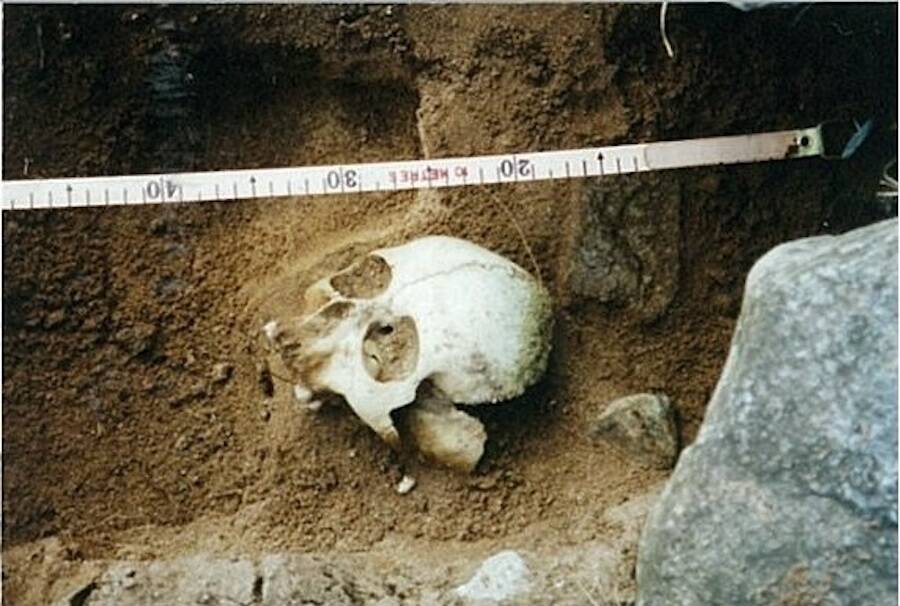 Ancient Mystery Unveiled: 2,000-Year-Old Scottish Skeleton Reveals Dark Rituals Behind Bone Tools and Missing Brain