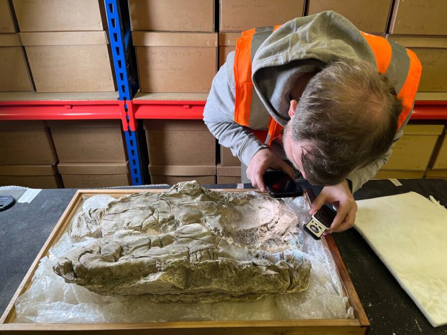 Ancient Mystery Unveiled: Roman-Era Infants Wrapped in Priceless Purple Cloth Found in England