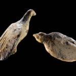 Ancient Secrets Unearthed: Mysterious 40,000-Year-Old Bird Carvings Revealed in German Cave