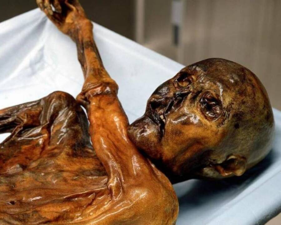 Ancient Yeast from Ötzi the Iceman's Corpse Revives 5,300-Year-Old Sourdough Mystery!