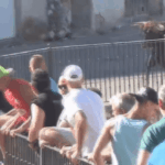 Charging Bull Defies Physics by Lifting Front of 4x4 SUV in Thrilling Spanish Street Encounter