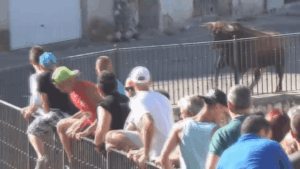 Charging Bull Defies Physics by Lifting Front of 4x4 SUV in Thrilling Spanish Street Encounter