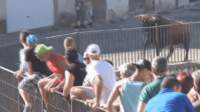 Charging Bull Defies Physics by Lifting Front of 4x4 SUV in Thrilling Spanish Street Encounter