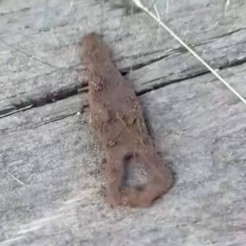 Montana Man Unearths Mysterious Artifacts, Sparking New Questions About Lewis and Clark’s Secret Campsite on His Land