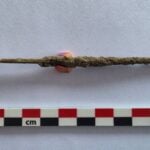 Rare Roman Surgical Tool Discovered in Bulgaria Sparks Mystery Over Ancient Medical Practices
