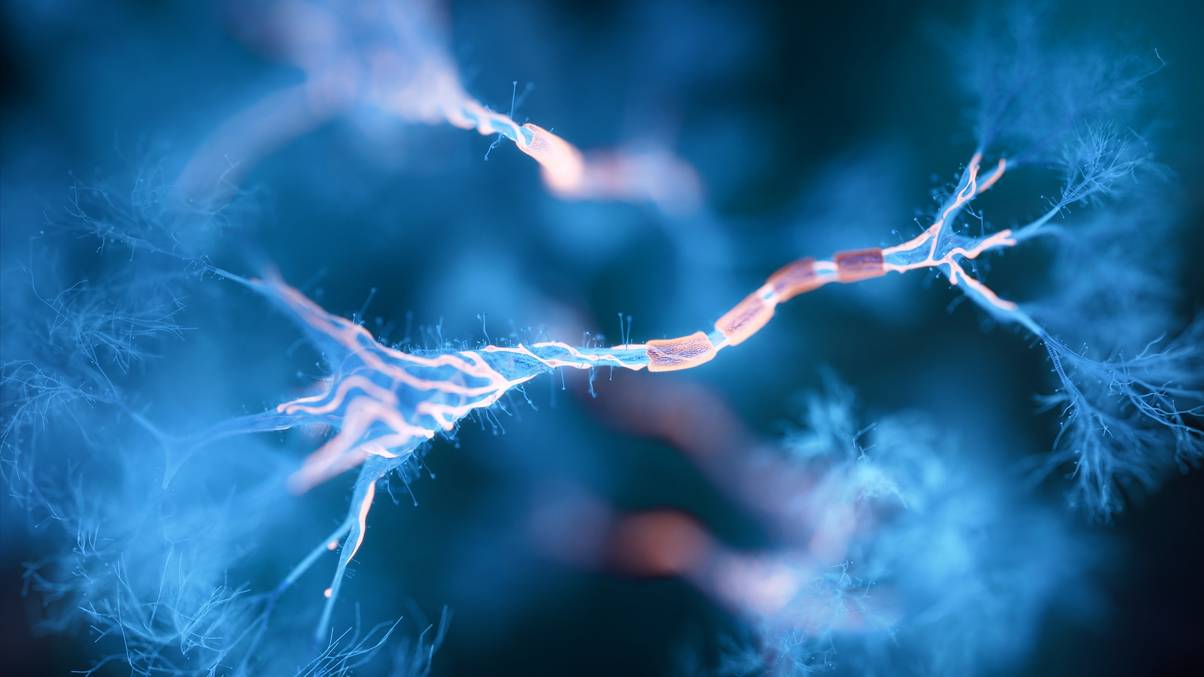 Scientists Unveil Mysterious Test That Spots Deadly Diseases Long Before Symptoms Appear