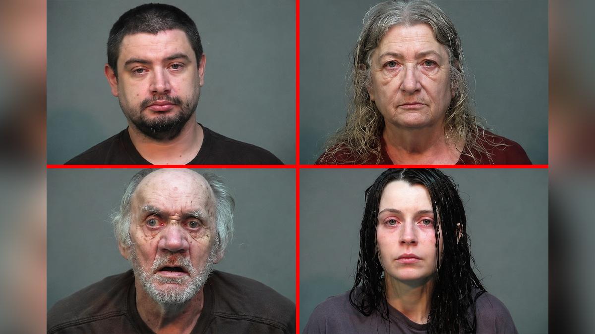 Shocking Ohio House of Horrors Unveiled: Elizabeth Siders' Bond Plea Amid Chilling Discovery of '16 Feral Children' and Haunting Twin Secrets