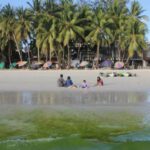 The Hidden Dangers Lurking Behind Stunning Bright Green Waters You’re Tempted to Swim In