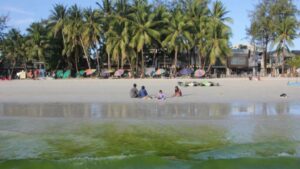 The Hidden Dangers Lurking Behind Stunning Bright Green Waters You’re Tempted to Swim In