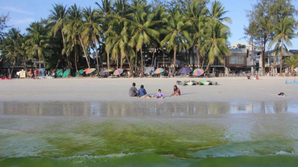 The Hidden Dangers Lurking Behind Stunning Bright Green Waters You’re Tempted to Swim In
