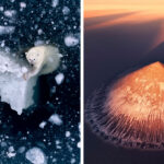 Unbelievable Aerial Shots From the 2026 Competition That Will Change How You See the World (50 Pics)