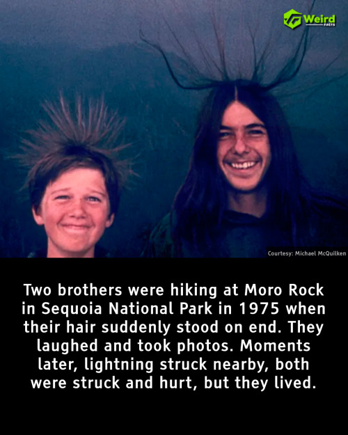 Unbelievable Weird Facts That Will Completely Change How You See the World!