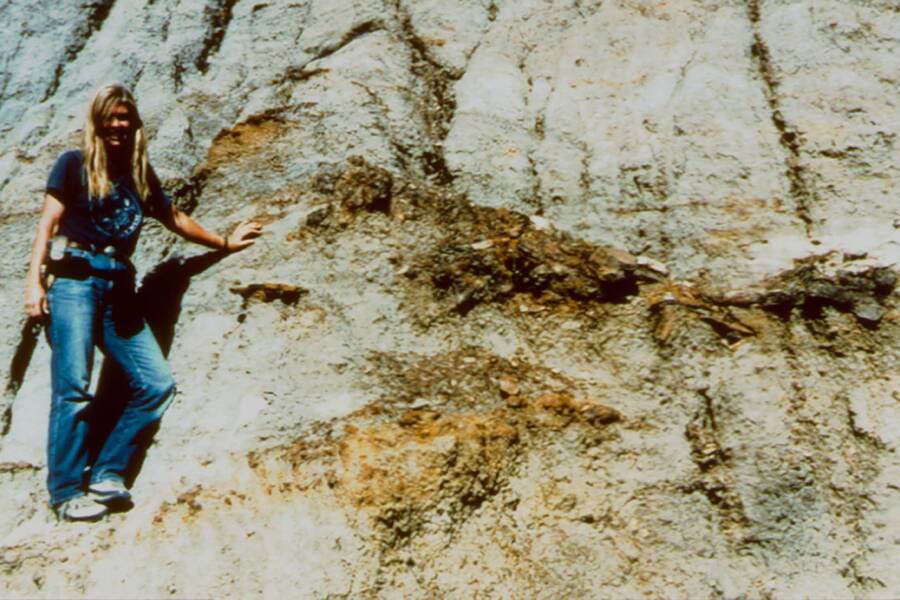 Uncovering the Hidden Drama Behind Sue the T. Rex: The Fierce Legal Fight That Shook the Fossil World