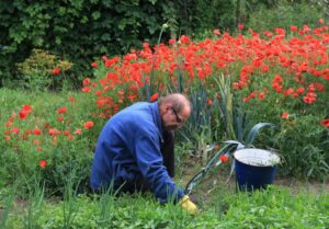 Unlock the Secret Weapon Gardeners Swear By to Stop Weeds Before They Even Start!