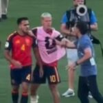 Unseen World Cup Final Brawl Footage Reveals Shocking Chaos Worse Than Ever Imagined