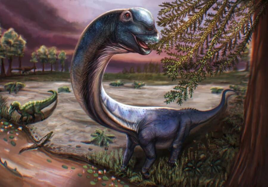 Unveiled: The 88-Foot Nagatitan—Southeast Asia’s Colossal Dinosaur Discovery That Rewrites History