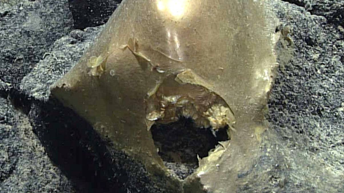 Unveiled: The Chilling Truth Behind the Mysterious Golden Orb That Haunted Minds for Years