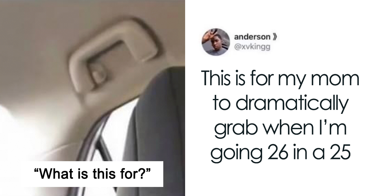39 Bizarrely Specific Moments That Left Everyone Completely Stunned—You Won’t Believe #17!