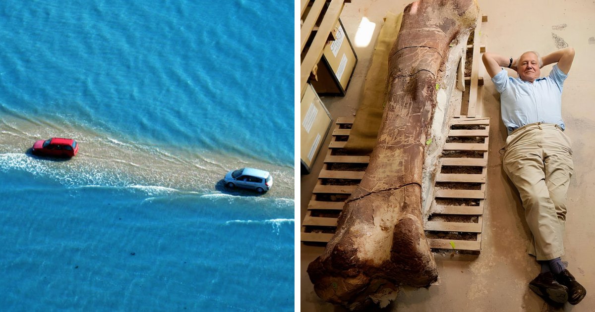 67 Mind-Blowing Secrets About the World’s Wonders You’ve Never Heard Before