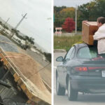 88 Mind-Boggling Fails That Will Make You Question Humanity’s Survival Instincts