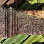 Ancient Roman Altar to Jupiter Resurfaces Mysteriously as Danube’s Waters Reach Historic Lows