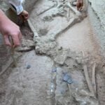 Ancient Tomb Unearthed in Turkey May Reveal Secrets of a Legendary 2,400-Year-Old Wrestling Champion.