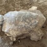 Ancient Turtle Figurines Unearthed in Turkish Cave Hint at Mysterious Prehistoric Culture Dating Back 16,500 Years