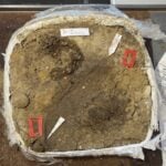 Inside the 1,300-Year-Old Viking Grave: Remarkably Preserved Clothing Reveals Untold Secrets of a Young Girl's Life
