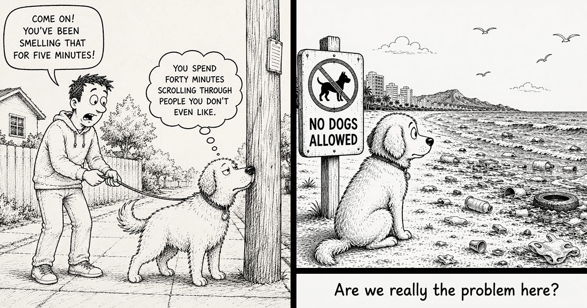 Inside the Secret, Hilarious Mind of a Dog: 22 Comics That Reveal What They’re Really Thinking